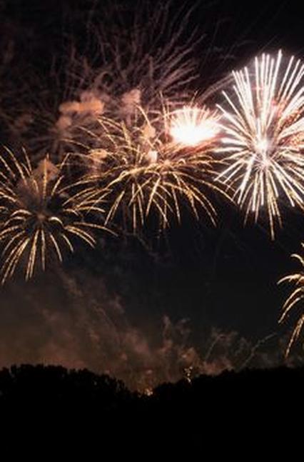 primary mb66